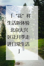 “花”样生活新体验 北京大兴区让月季走进日常生活