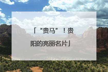 “贵马”！贵阳的亮丽名片