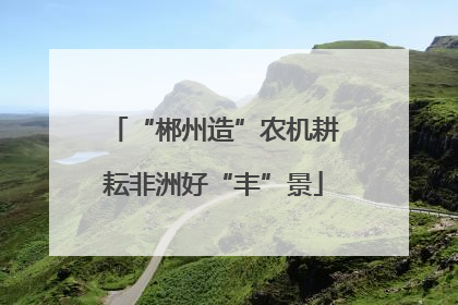 “郴州造”农机耕耘非洲好“丰”景