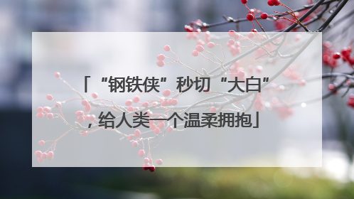 “钢铁侠”秒切“大白”，给人类一个温柔拥抱