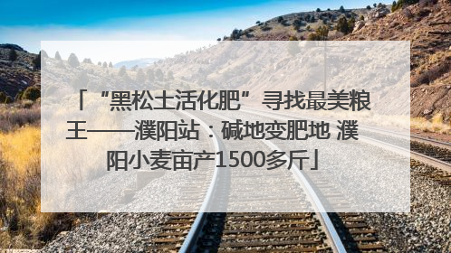 “黑松土活化肥”寻找最美粮王——濮阳站：碱地变肥地 濮阳小麦亩产1500多斤