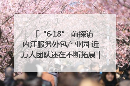 “6·18” 前探访内江服务外包产业园 近万人团队还在不断拓展｜内江东兴“红”在哪⑤