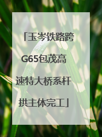 玉岑铁路跨G65包茂高速特大桥系杆拱主体完工