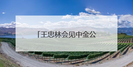 王忠林会见中金公司董事长陈亮 持续深化务实合作 做强支点建设金融支撑