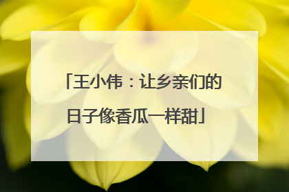王小伟：让乡亲们的日子像香瓜一样甜