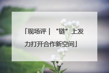 现场评｜“链”上发力打开合作新空间
