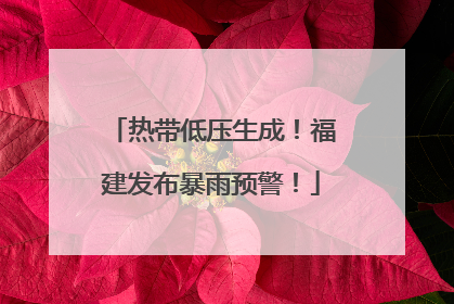 热带低压生成！福建发布暴雨预警！