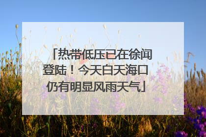 热带低压已在徐闻登陆！今天白天海口仍有明显风雨天气