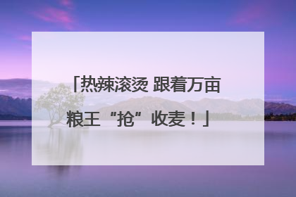 热辣滚烫 跟着万亩粮王“抢”收麦！