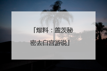 爆料:盖茨秘密去白宫游说