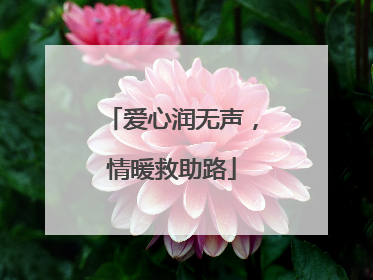爱心润无声，情暖救助路