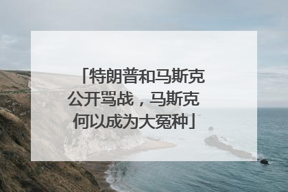 特朗普和马斯克公开骂战，马斯克何以成为大冤种