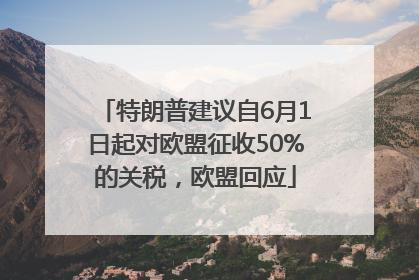 特朗普建议自6月1日起对欧盟征收50%的关税，欧盟回应