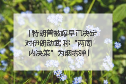 特朗普被曝早已决定对伊朗动武 称“两周内决策”为烟雾弹