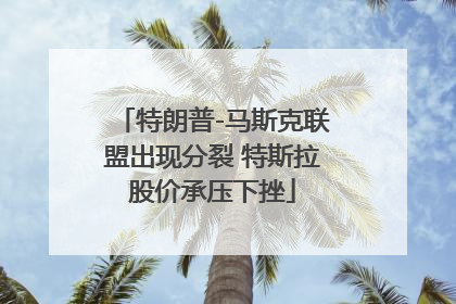 特朗普-马斯克联盟出现分裂 特斯拉股价承压下挫