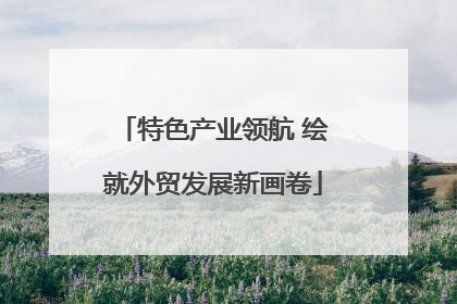 特色产业领航 绘就外贸发展新画卷