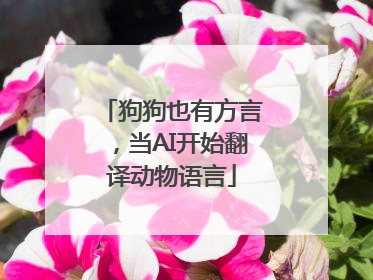 狗狗也有方言，当AI开始翻译动物语言
