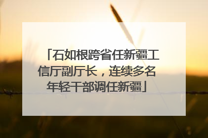 石如根跨省任新疆工信厅副厅长，连续多名年轻干部调任新疆