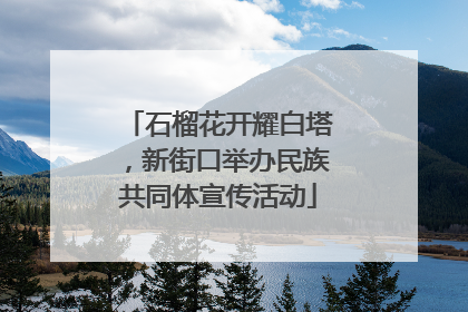石榴花开耀白塔，新街口举办民族共同体宣传活动