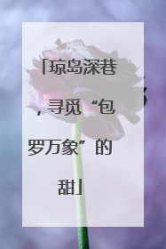 琼岛深巷，寻觅“包罗万象”的甜