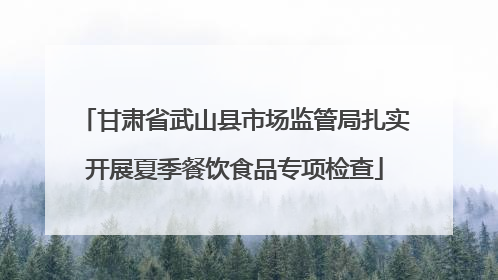 甘肃省武山县市场监管局扎实开展夏季餐饮食品专项检查