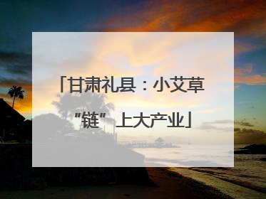 甘肃礼县：小艾草“链”上大产业