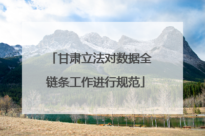 甘肃立法对数据全链条工作进行规范