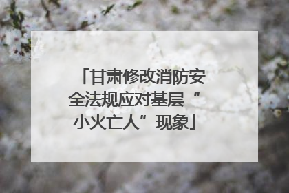 甘肃修改消防安全法规应对基层“小火亡人”现象
