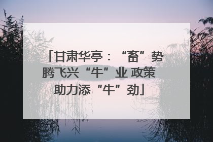 甘肃华亭：“畜”势腾飞兴“牛”业 政策助力添“牛”劲