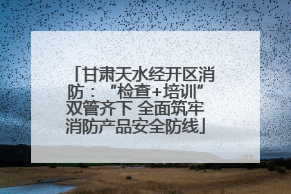 甘肃天水经开区消防：“检查+培训”双管齐下 全面筑牢消防产品安全防线