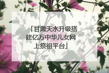 甘肃天水升级搭建亿万中华儿女网上祭祖平台