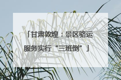 甘肃敦煌：景区骆运服务实行“三班倒”