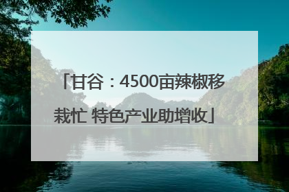 甘谷：4500亩辣椒移栽忙 特色产业助增收