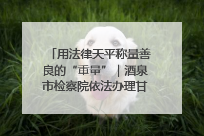 用法律天平称量善良的“重量”｜酒泉市检察院依法办理甘肃首例社区矫正对象见义勇为减刑案