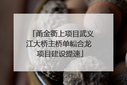 甬金衢上项目武义江大桥主桥单幅合龙 项目建设提速