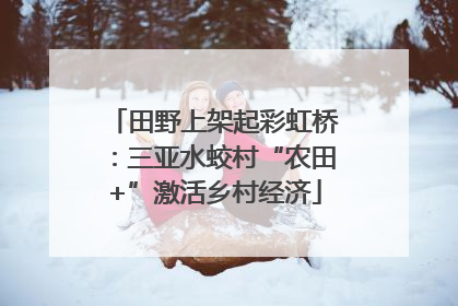 田野上架起彩虹桥：三亚水蛟村“农田+”激活乡村经济