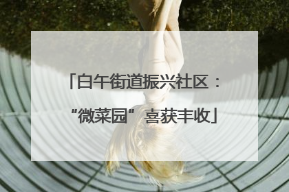 白午街道振兴社区：“微菜园”喜获丰收