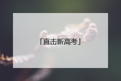 直击新高考