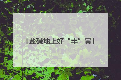 盐碱地上好“丰”景
