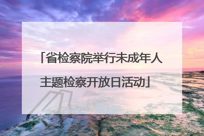 省检察院举行未成年人主题检察开放日活动