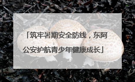筑牢暑期安全防线，东阿公安护航青少年健康成长