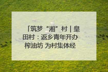 筑梦“湘”村｜皇田村：返乡青年开办榨油坊 为村集体经济“加油”