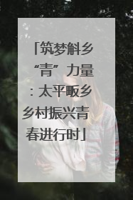 筑梦斛乡“青”力量：太平畈乡乡村振兴青春进行时