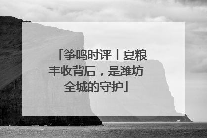 筝鸣时评丨夏粮丰收背后，是潍坊全城的守护