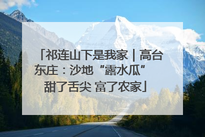 祁连山下是我家｜高台东庄：沙地“露水瓜” 甜了舌尖 富了农家