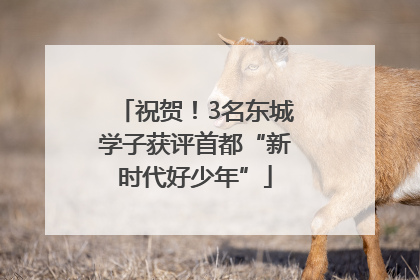 祝贺！3名东城学子获评首都“新时代好少年”