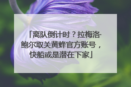 离队倒计时？拉梅洛·鲍尔取关黄蜂官方账号，快船或是潜在下家
