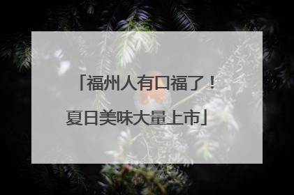 福州人有口福了！夏日美味大量上市