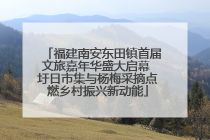 福建南安东田镇首届文旅嘉年华盛大启幕 圩日市集与杨梅采摘点燃乡村振兴新动能