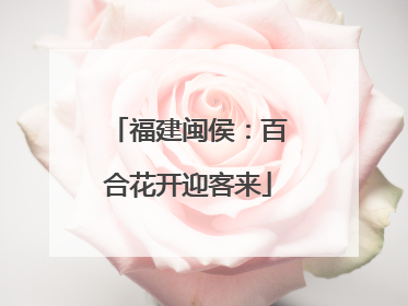 福建闽侯：百合花开迎客来
